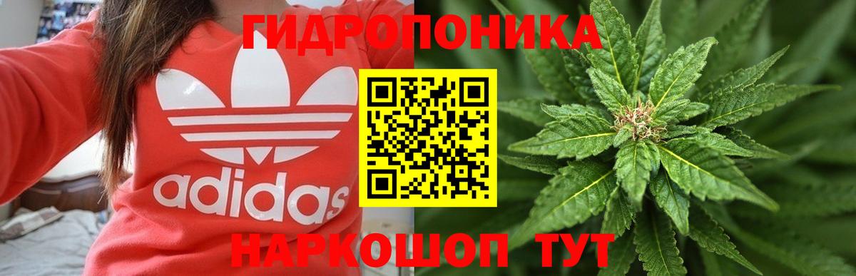 Каннабис VHQ  МАРИХУАНА THC 21%  Бошки Шишки сатива  Вход с VPN  Шатура 